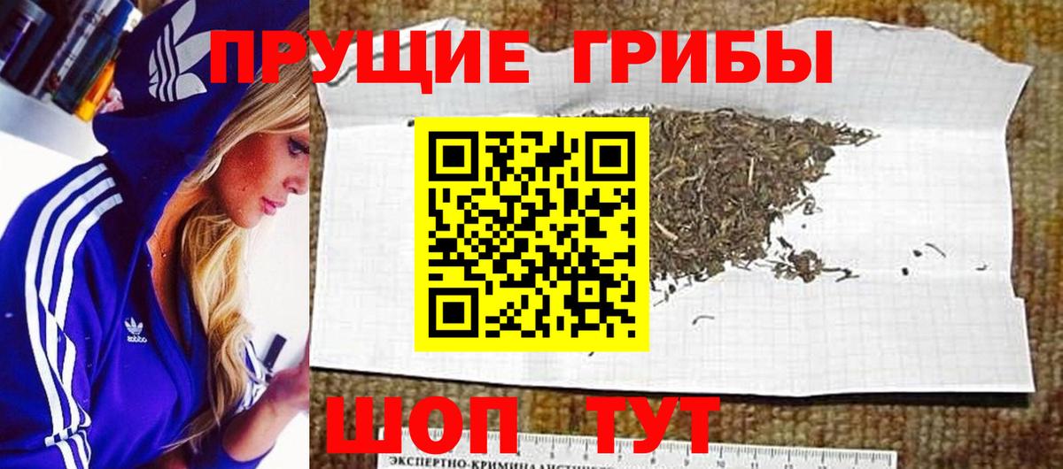 Псилоцибиновые грибы Cubensis Верхняя Салда
